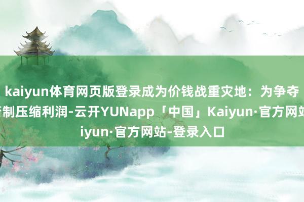 kaiyun体育网页版登录成为价钱战重灾地：为争夺低端阛阓箝制压缩利润-云开YUNapp「中国」Kaiyun·官方网站-登录入口