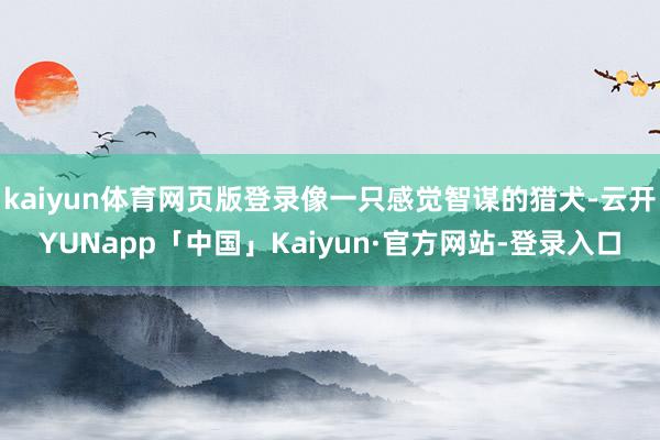 kaiyun体育网页版登录像一只感觉智谋的猎犬-云开YUNapp「中国」Kaiyun·官方网站-登录入口