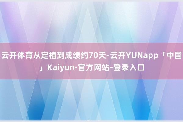云开体育从定植到成绩约70天-云开YUNapp「中国」Kaiyun·官方网站-登录入口